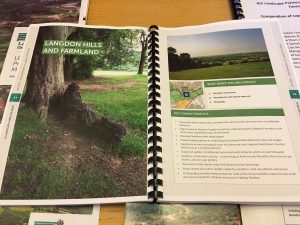 'Land of the Fanns' proposals outlined in an accessible, engaging way